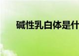 碱性乳白体是什么玩意（碱性乳白体）