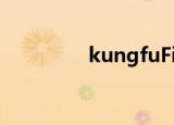 kungfuFightingwarrior