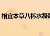 相宜本草八杯水凝霜（相宜本草八杯水面霜）