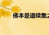 佛本是道续集之无极（佛本是道续）