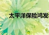 太平洋保险鸿发年年全能定投年金保险