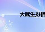 大武生扮相（大武生好看吗）