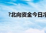 ?北向资金今日净卖出宁德时代5.4亿元