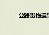 公路货物运输保险（公路货运）