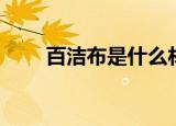 百洁布是什么材料做成的（百洁布）