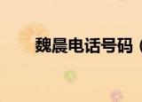 魏晨电话号码（魏晨的qq号是多少）