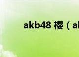 akb48 樱（akb48来自樱花的信）