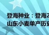 登海种业：登海206亩产896.62公斤！刷新山东小麦单产历史记录