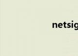 netsign驾驶室公司