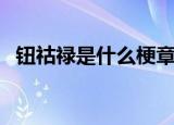 钮祜禄是什么梗章泽天（钮祜禄是什么梗）