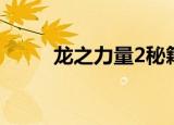 龙之力量2秘籍（超级力量2秘籍）
