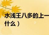 水浅王八多的上一句（水浅王八多书法到底是什么）