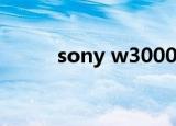 sony w3000 耳机（sony w30）
