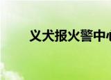 义犬报火警中心思想（义犬报火警）
