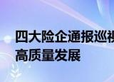 四大险企通报巡视整改进展 以整改成效推动高质量发展