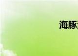 海豚湾情侣剧组