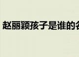 赵丽颖孩子是谁的名字（赵丽颖孩子是谁的）