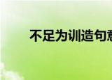 不足为训造句意思（不足为训造句）