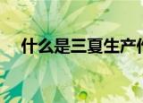 什么是三夏生产作业人员（什么是三夏）