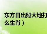 东方日出照大地打生肖（日出东方照大地是什么生肖）
