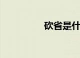 砍省是什么意思（砍省）