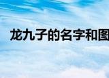 龙九子的名字和图片寓意（龙九子的名字）