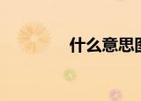 什么意思图片（什么意思）