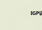 IGP训练（igpx）