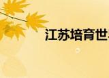 江苏培育世界级高端纺织集群