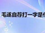 毛遂自荐打一字是什么字（毛遂自荐打一字）