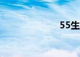 55生活娱乐导航