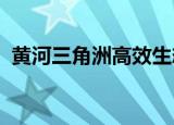 黄河三角洲高效生态经济区发展规划标志着