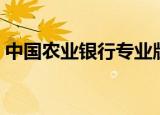 中国农业银行专业版网银（农行专业版网银）
