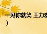 一见你就笑 王力宏 伴奏（一见你就笑 王力宏）