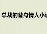 总裁的替身情人小说（绝情总裁的替身恋人）