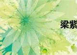 梁紫薇（梁紫）