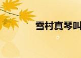 雪村真琴叫什么（雪村真琴）