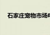 石家庄宠物市场电话（石家庄宠物市场）