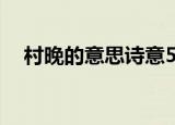 村晚的意思诗意50字（村晚的意思诗意）