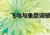 飞鸟与鱼歌词郁可唯（飞鸟与鱼歌词）