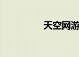 天空网游戏（天空网游）