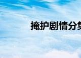 掩护剧情分集介绍（掩护剧情）