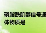 磷脂酰肌醇信号通路中产生两个第二信使的前体物质是
