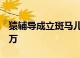 猿辅导成立斑马儿童科教集团 注册资本1000万