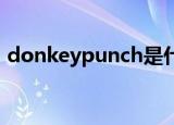 donkeypunch是什意思（donkey punch）