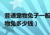 普通宠物兔子一般是多少钱一个（最便宜的宠物兔多少钱）