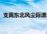 支离东北风尘际漂泊西南天地间是什么意思