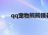 qq宠物熊熊领养官网（qq熊熊领养）