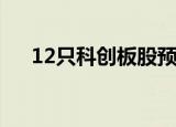 12只科创板股预告前三季业绩 7股预增