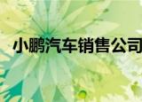 小鹏汽车销售公司增资至35亿 增幅达75%